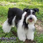 Della 072 Della 072