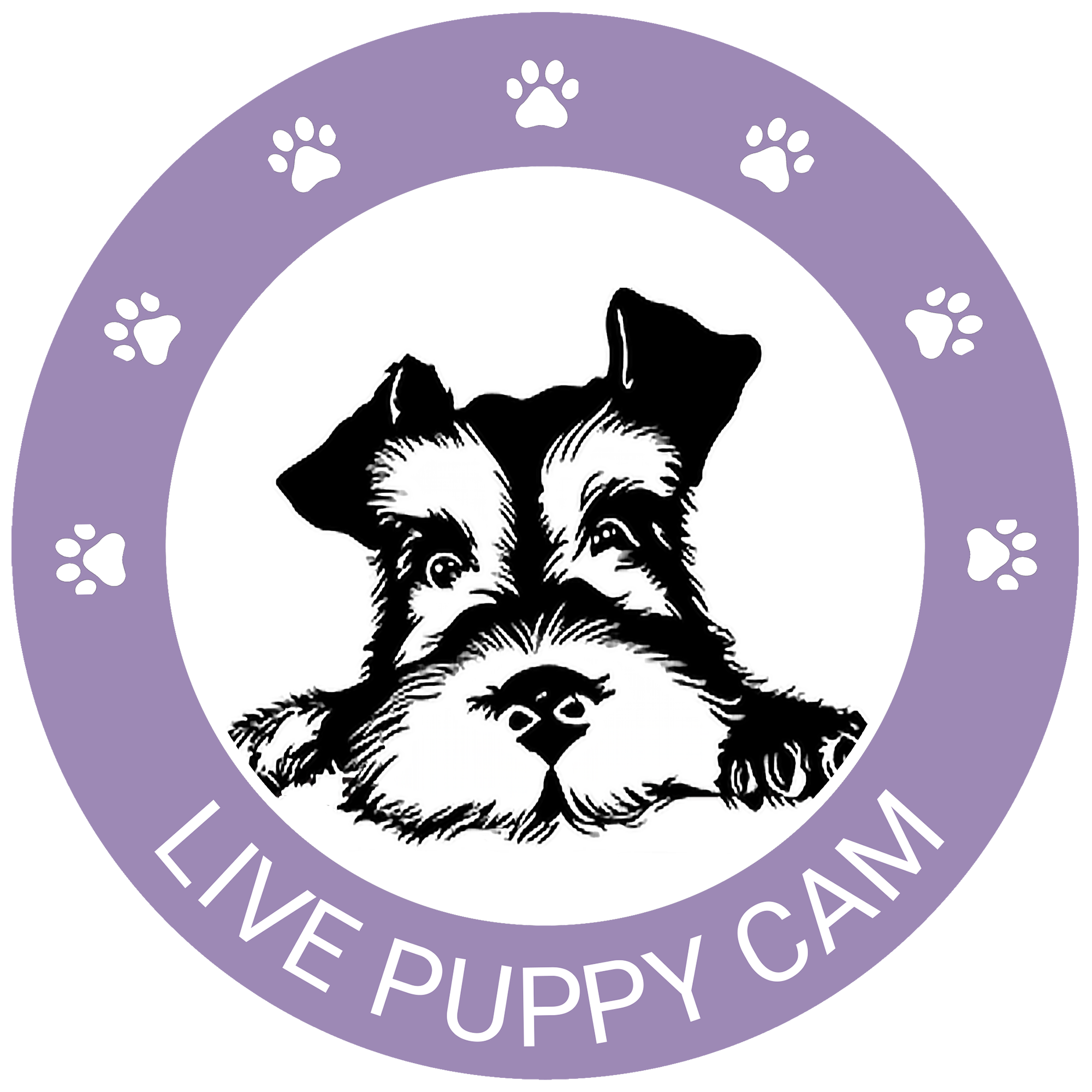 puppy web cam