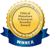 Ethical Miniature Schnauzer Breeder Award Winnder